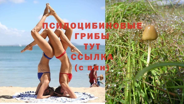 прущие крисы Арсеньев