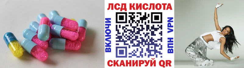 shop как зайти  Новоузенск  LSD-25 экстази кислота 